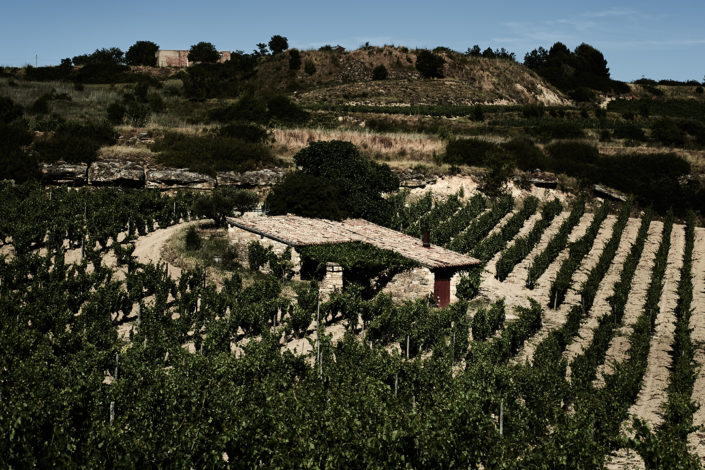 Die Lage von Viña El Pisón der Bodegas y Viñedos Artadi