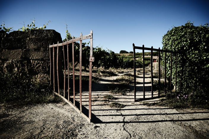 Das Tor zum Rebberg Viña El Pisón von Bodegas y Viñedos Artadi