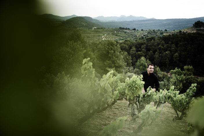 Josep Serra in einem seiner Weinberge