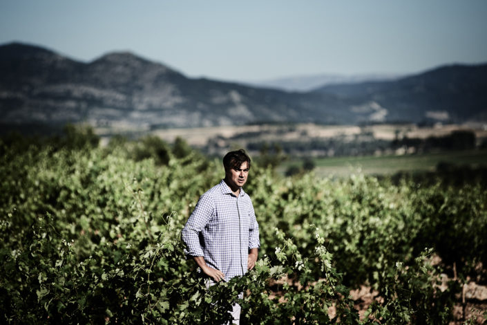 Rafael Cambra in einem seiner Rebberge