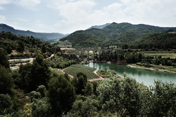 Die Lage der Weinberge vom Celler de Capçanes