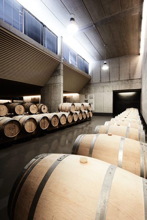 Barriques in der Bodega Contador