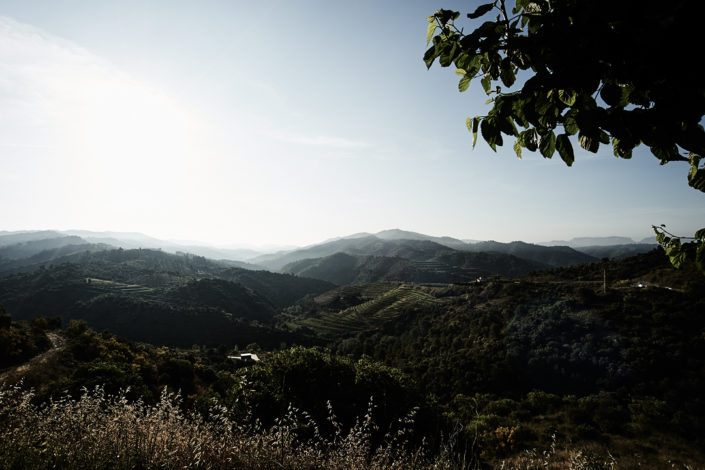 Aussicht von Saó del Coster in die Umgebung von Gratallops und dem Priorat