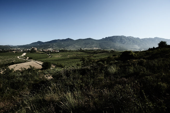 Die Lage der Weinberge von Fernando Remírez de Ganuza im Rioja