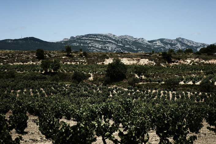 Die Lage einer Parzelle der Bodegas Izadi