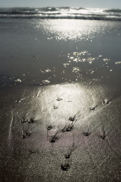 Das Meer und der Sand glitzern in der Sonne