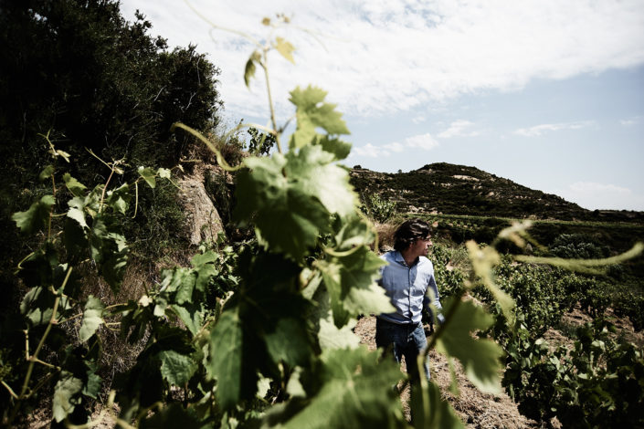 Telmo Rodríguez in einem seiner Weinberge im Rioja