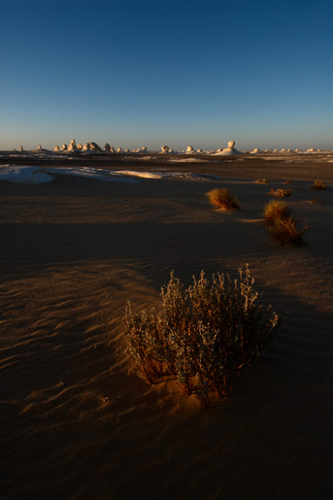 Die ersten Sonnenstrahlen erfassen den Sandboden