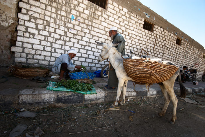Ein Mann mit einem Esel kauft Gemüse