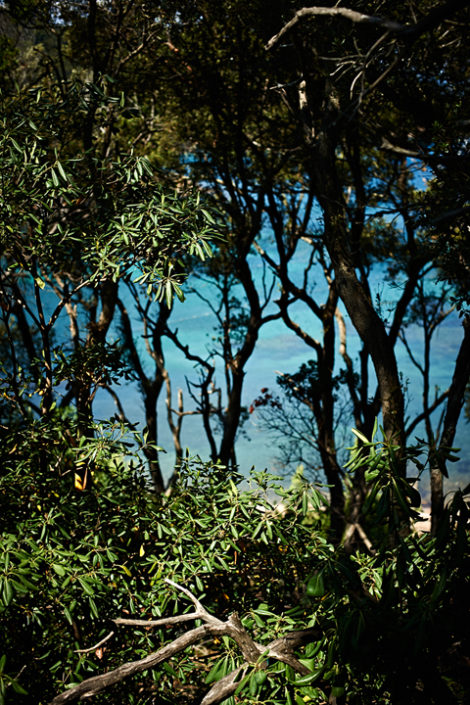 Blick durch Bäume auf das azurblaue Meer